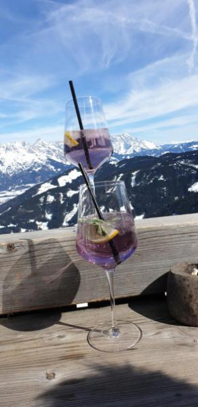 Ferienhaus Pöttler Untertauern